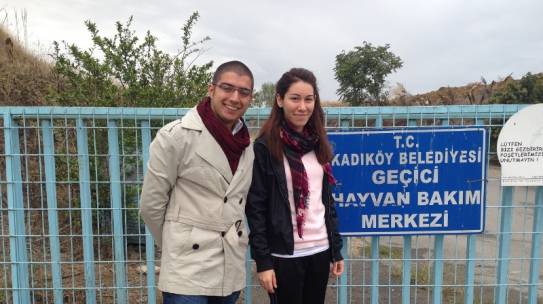 06.10.2013 / Ataşehir Hayvan Barınağı Mama Yardımı